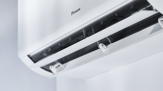FTXM-B_Details_06.tif